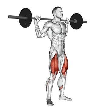 Demostración del ejercicio: Sentadilla (Squat): Guía Completa de Técnica y Beneficios