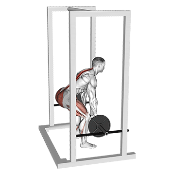 Demostración del ejercicio: Rack Pull: Fuerza Máxima en Trapecio y Espalda Alta