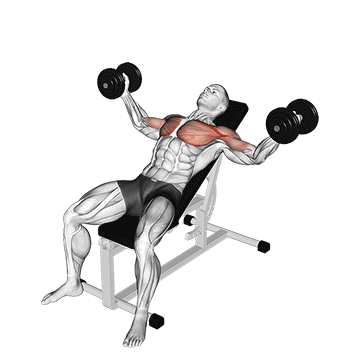Demostración del ejercicio: Aperturas Inclinadas con Mancuernas: Pectoral Superior Definido