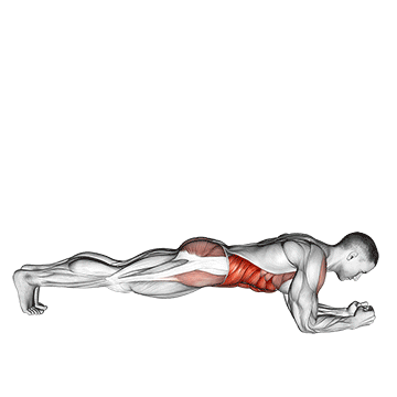Demostración del ejercicio: Plancha Abdominal (Plank): El Ejercicio Perfecto para el Core