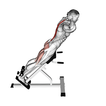 Demostración del ejercicio: Hiperextensiones: Fortalece tu Zona Lumbar y Glúteos