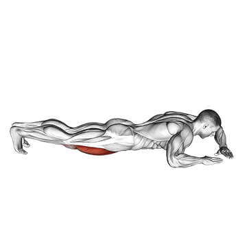 Demostración del ejercicio: Estiramientos Finales (Cool Down): Recuperación y Flexibilidad