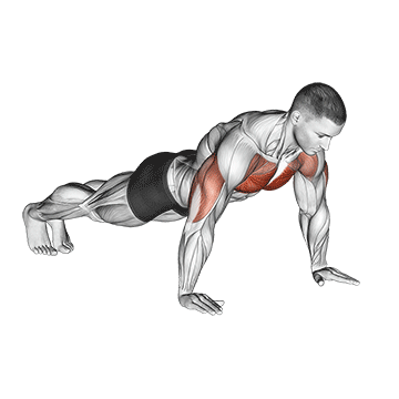 Demostración del ejercicio: Flexiones (Push-Up): El Pilar del Entrenamiento con Peso Corporal