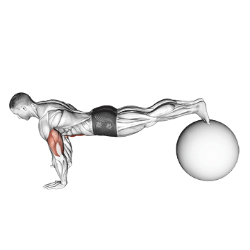 Demostración del ejercicio: Pike Push-Up: El Press de Hombros sin Material