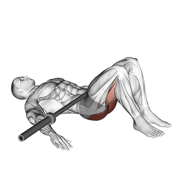 Demostración del ejercicio: Hip Thrust: El Ejercicio Definitivo para Glúteos