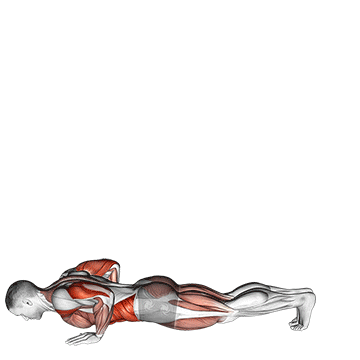 Demostración del ejercicio: Inchworm (Oruga): Calentamiento Dinámico de Cuerpo Completo