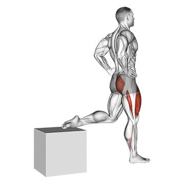 Demostración del ejercicio: Pistol Squat: La Sentadilla a una Pierna Definitiva
